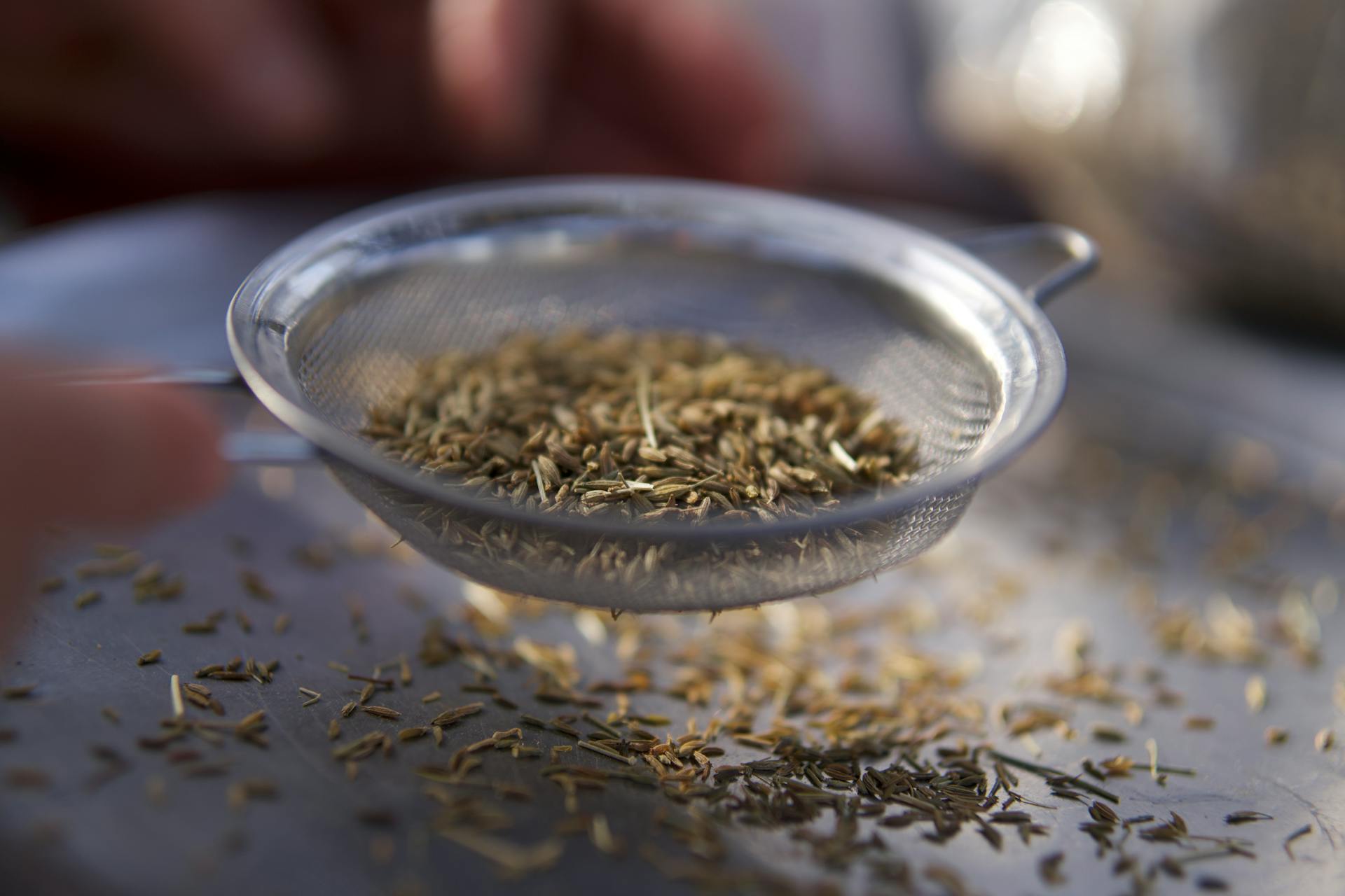 Seed filter in use